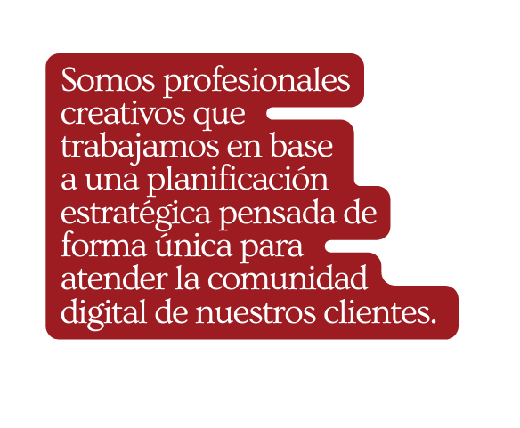Somos profesionales creativos que trabajamos en base a una planificación estratégica pensada de forma única para atender la comunidad digital de nuestros clientes